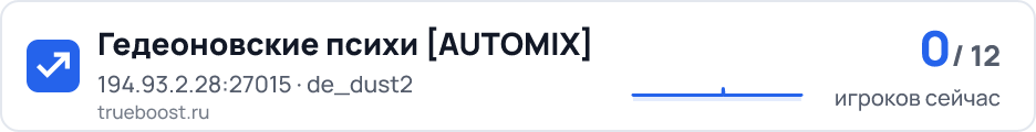 Гедеоновские психи AUTOMIX