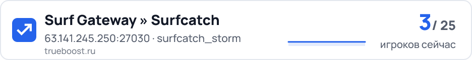 Surf Gateway » Surfcatch