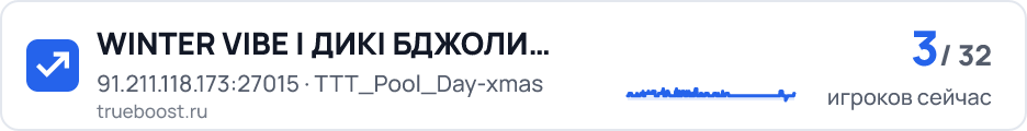 WINTER VIBE | ДИКІ БДЖОЛИ PUBLIC UA